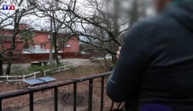 Ce que l'on sait de l'interpellation du meurtrier présumé d'une mère de famille à Nice