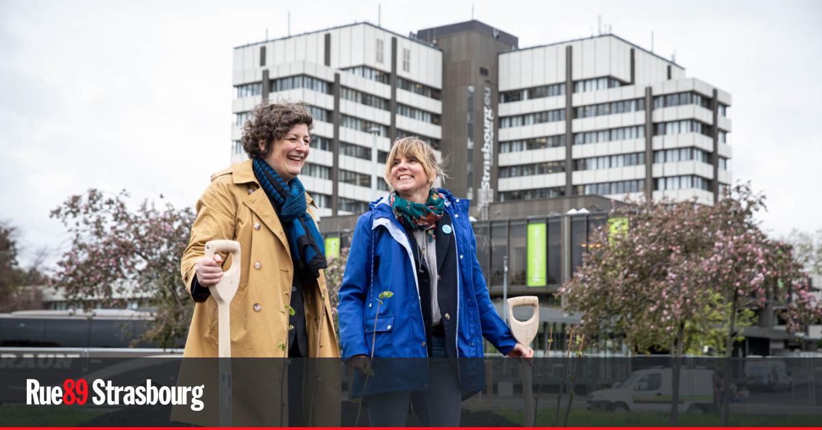 Ce qu'ont fait les Écologistes à Strasbourg face à "l'urgence climatique"