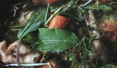 Le secret santé des nutritionnistes : un bouillon qui change tout