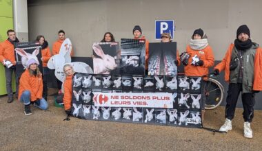 Action de L214 devant Carrefour Meylan samedi 24 janvier 2026. © L214