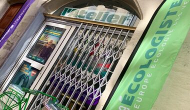 le vote des militants écologistes n'aura sans doute pas lieu