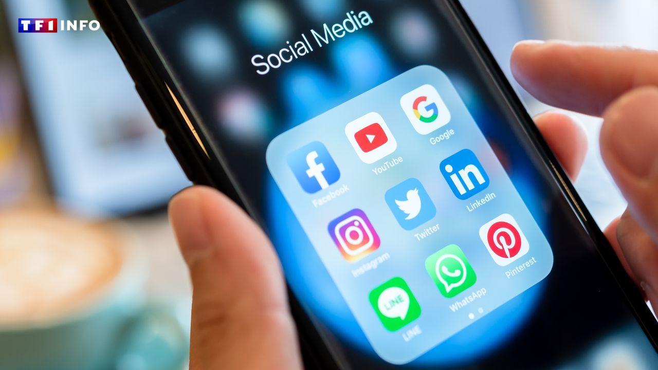 Les réseaux sociaux bientôt interdits aux moins de 15 ans en France : est-ce réellement applicable ?