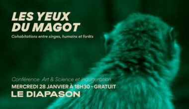 Les Yeux du Magot Le Diapason - Université de Rennes Rennes