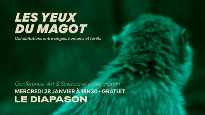 Les Yeux du Magot Le Diapason - Université de Rennes Rennes