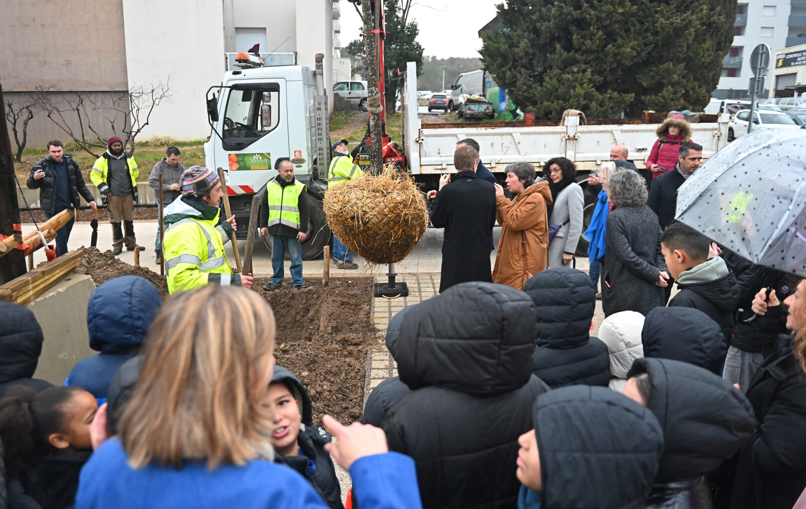 Montpellier : 50 000 arbres pour une ville nature