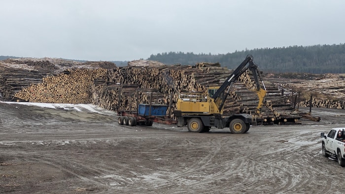 L'approvisionnement en bois est plus complexe avec les fermetures d'usine dans la région.