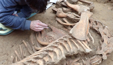 Lyon. Les archéologues font une découverte marquante sous ce cimetière en chantier