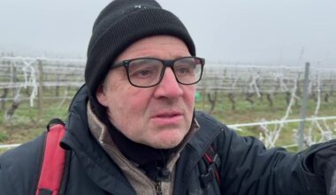ce viticulteur s'interroge sur l'avenir du vin de Bordeaux