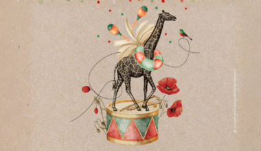 Découvrez la nouvelle saison culturelle 2026 de la Médiathèque