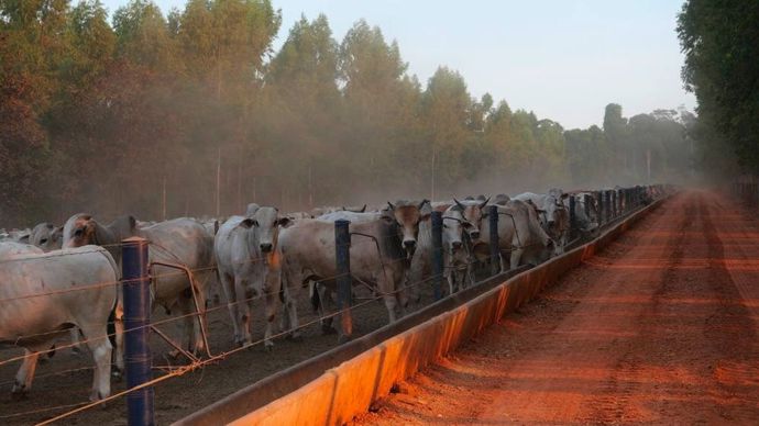 L’Union européenne et les pays du Mercosur s’apprêtent à signer l’accord