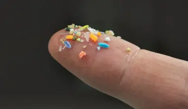 microplastiques p&eacute;nis