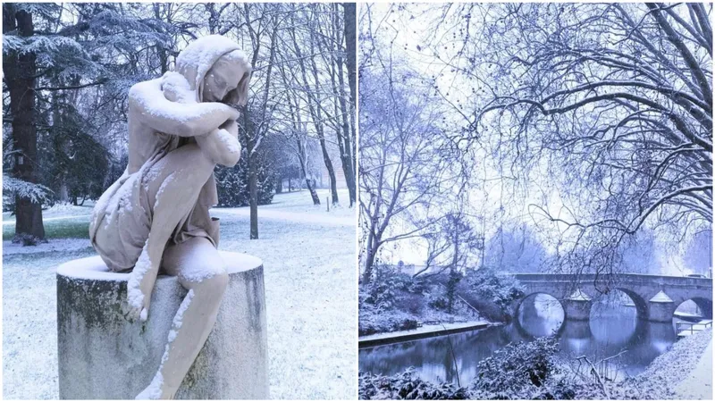 Des scènes féériques dans les jardins publics de Châlons-en-Champagne, après les chutes de neige.
