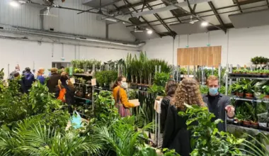 La Halle Tropisme se transforme en jungle urbaine