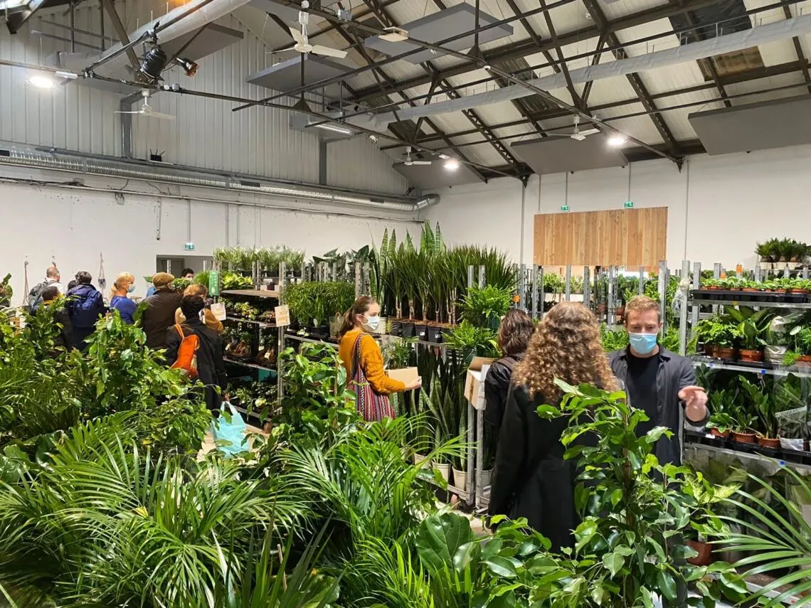 La Halle Tropisme se transforme en jungle urbaine