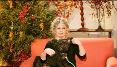 Mort de Brigitte Bardot : une cérémonie ouverte à "tous les amis des animaux" lui rendra hommage à Nice