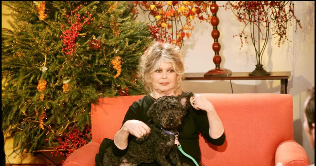 Mort de Brigitte Bardot : une cérémonie ouverte à "tous les amis des animaux" lui rendra hommage à Nice