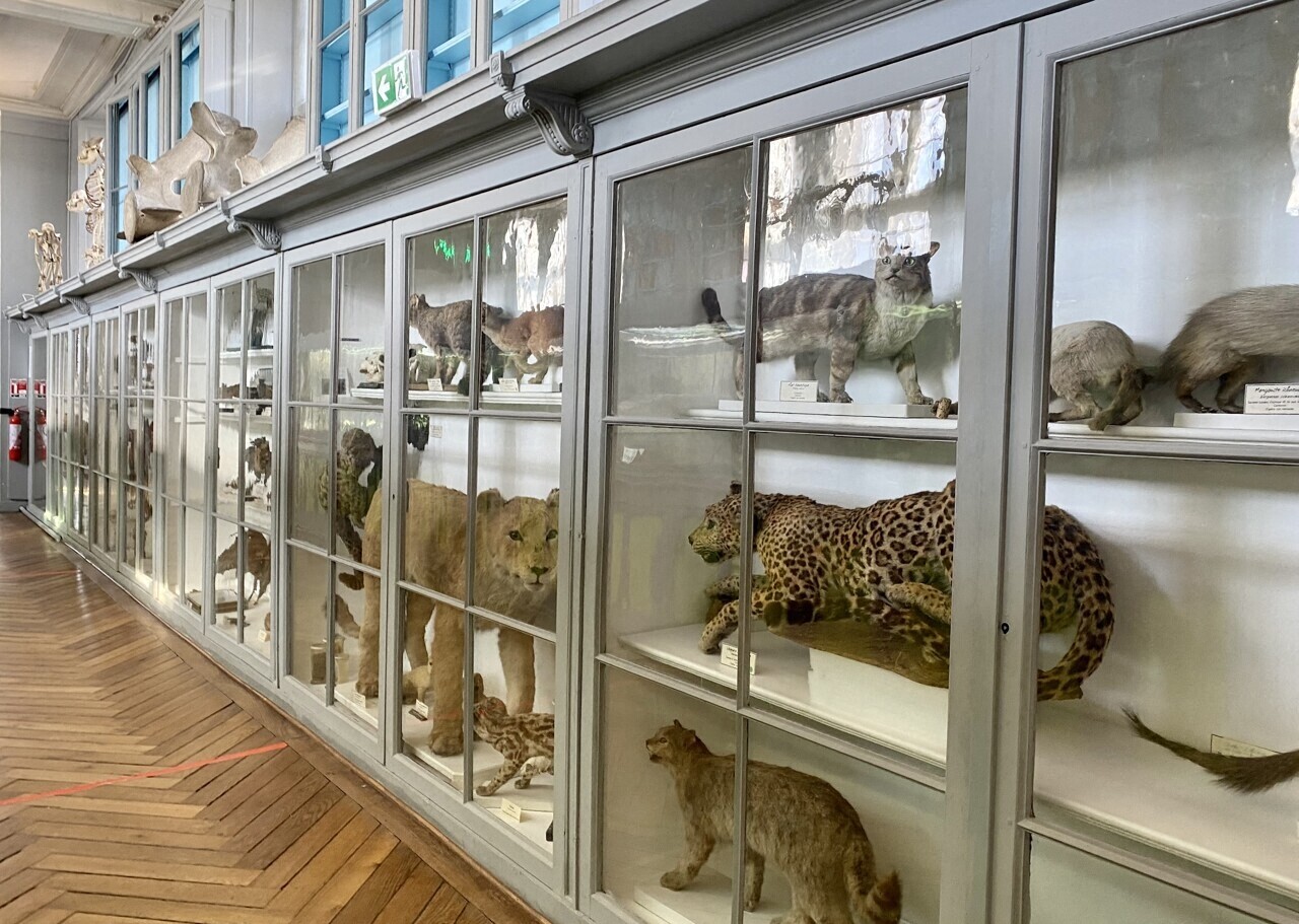 le projet de musée Beauvoisine à Rouen devant la justice