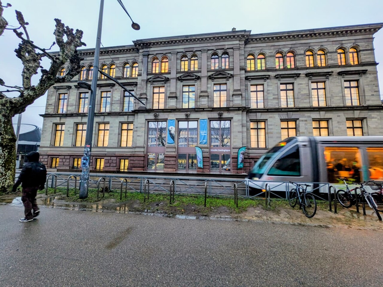 ce musée organise une visite gratuite, voici pour qui