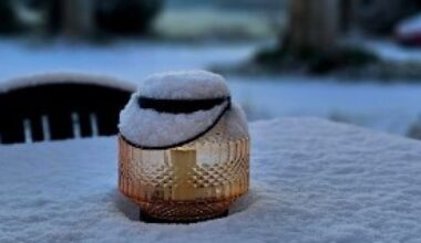 des photos aux alentours de Marseille, de Peynier à Cuges en passant par Trets