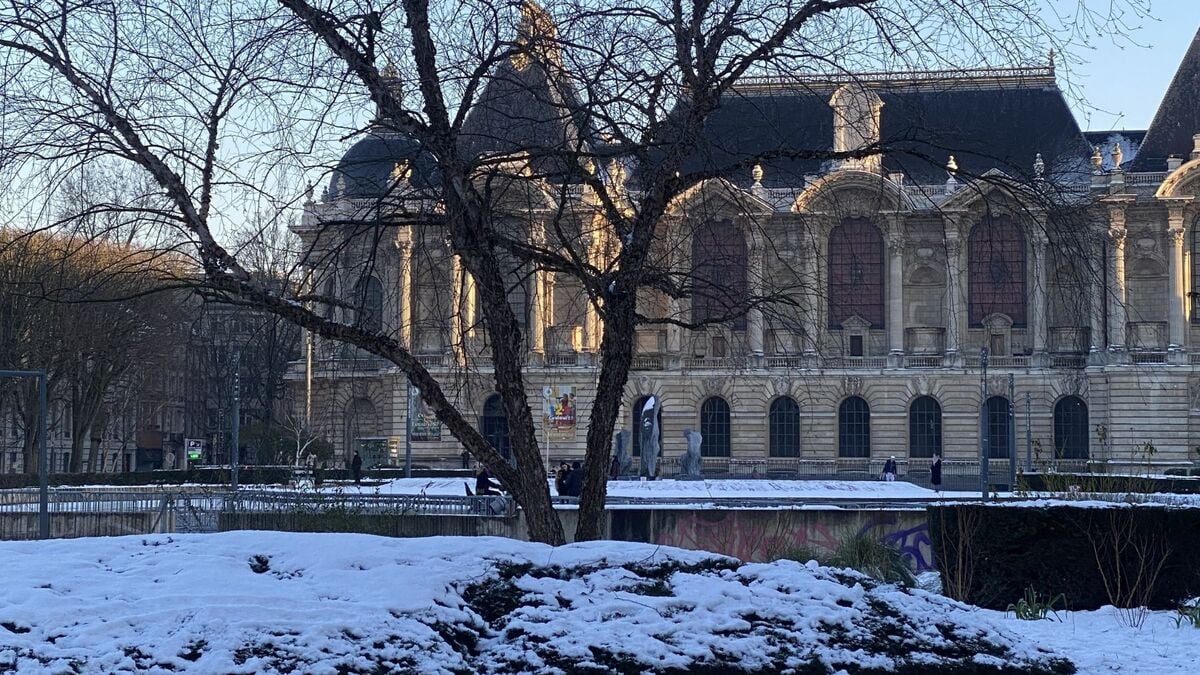 Vague de froid dans le Nord : jusqu’à –7 °C et de la neige attendue cette semaine à Lille