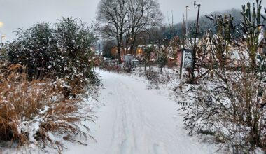 Neige en Seine-Maritime. Transports, circulation... revivez la journée de ce lundi hivernal