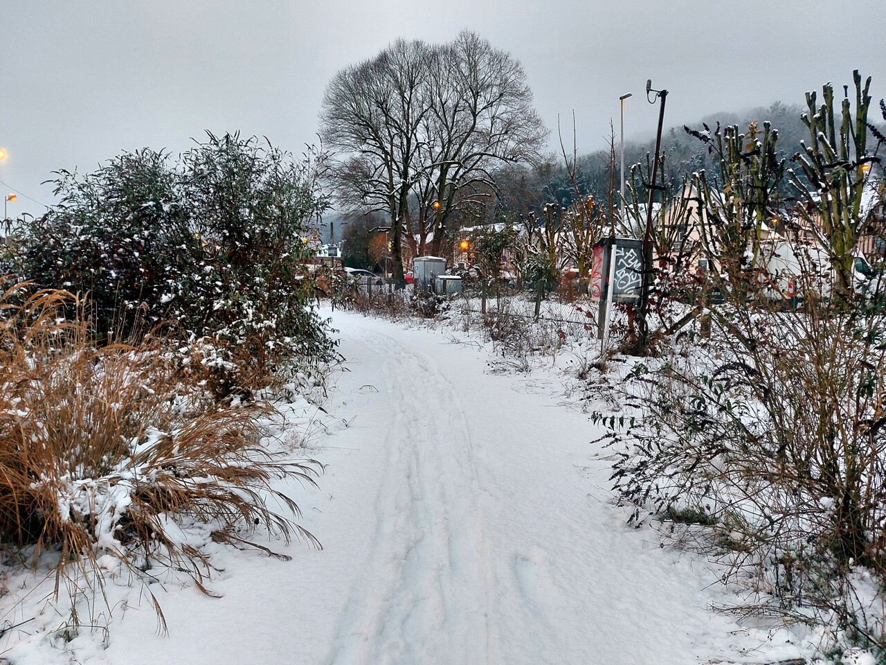 Neige en Seine-Maritime. Transports, circulation... revivez la journée de ce lundi hivernal