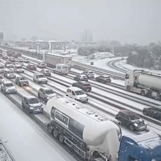 Capture d'écran TF1