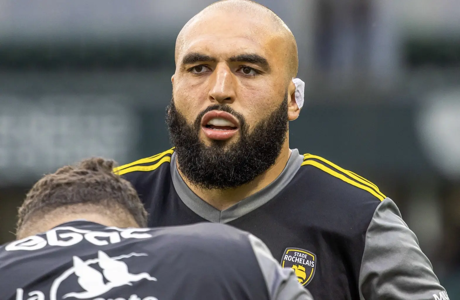 Stade Rochelais : Reda Wardi va rejoindre Montpellier avant la fin de son contrat