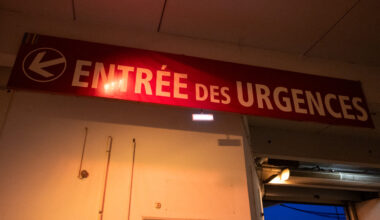 faut-il s'inquiéter du virus Nipah qui a refait surface en Inde ?