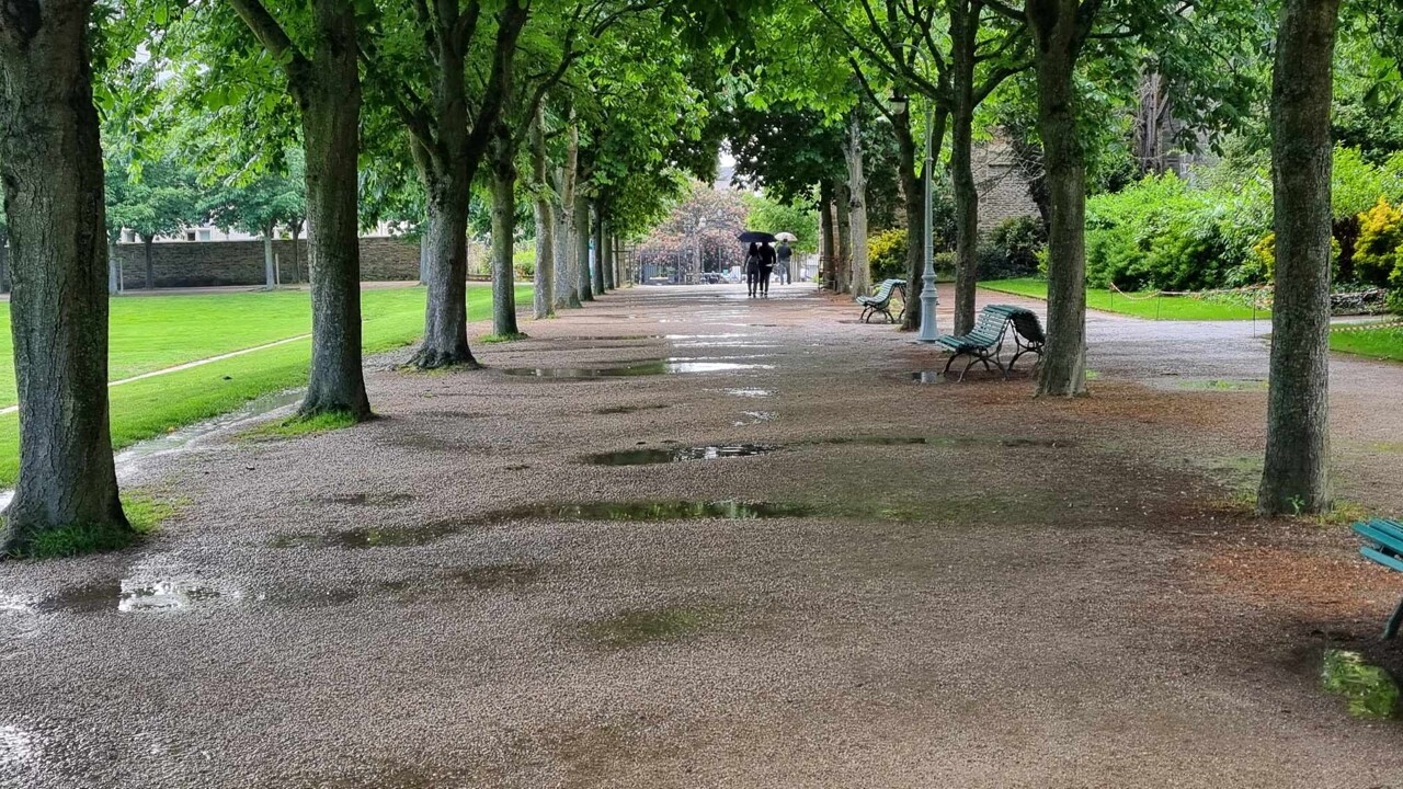 à Rennes, face à la forte vigilance vents violents, la Ville prend une mesure exceptionnelle