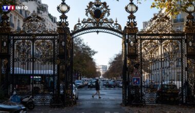 Paris : plusieurs chiens électrocutés près du parc Monceau, dont l'un décédé