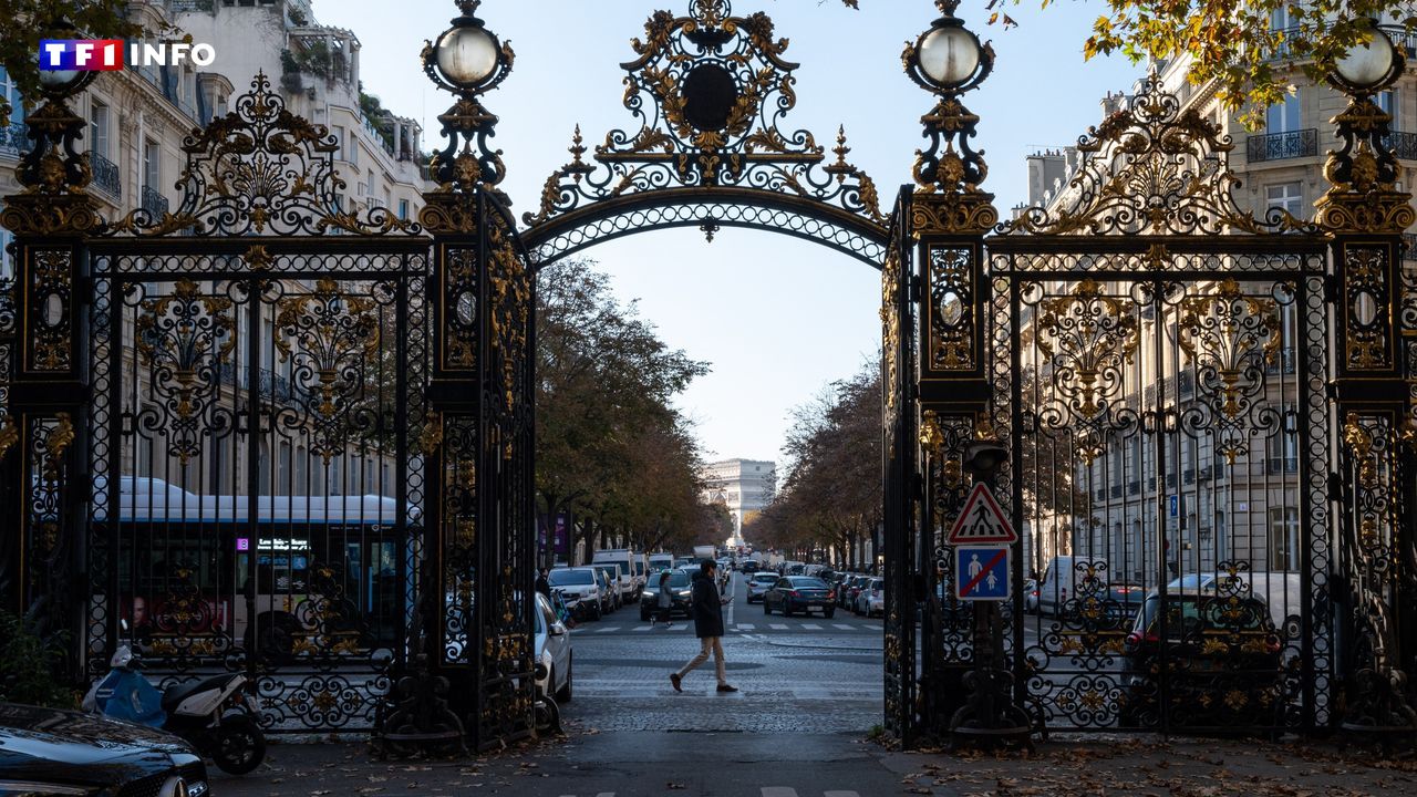 Paris : plusieurs chiens électrocutés près du parc Monceau, dont l'un décédé