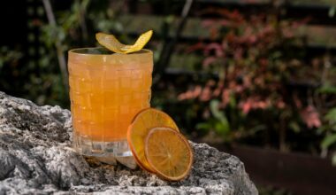 Nos idées pour réussir le Dry January à Lille sans renoncer à la fête - 02/01/2026