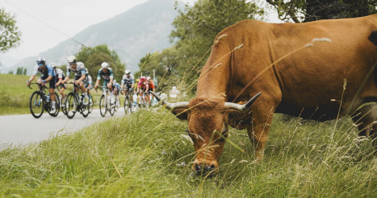 une ville départ se désiste au dernier moment faute de soutien financier