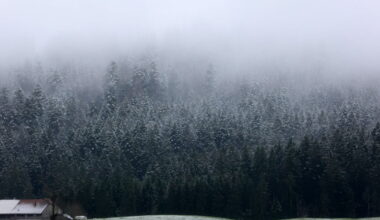 2025 vue par notre photographe Ludovic Laude