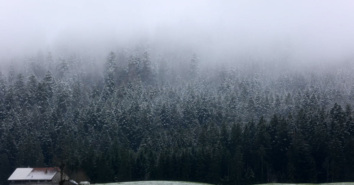 2025 vue par notre photographe Ludovic Laude