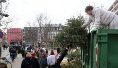 Strasbourg. Retrouvez les lieux pour déposer vos sapins de Noël, du 3 au 14 janvier