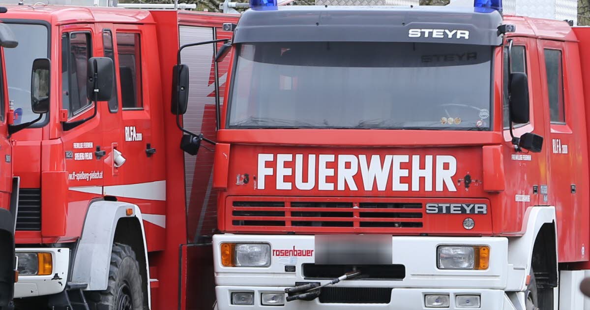 Allemagne. Nouvel An 2026 : deux jeunes de 18 ans tués par l’explosion d’un engin pyrotechnique artisanal