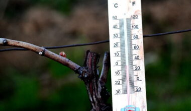 il a fait très froid durant la nuit du Nouvel An