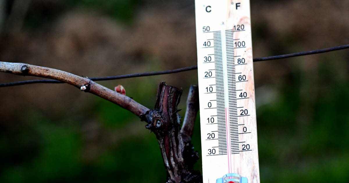 il a fait très froid durant la nuit du Nouvel An