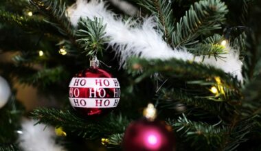 vous avez jusqu’au 25 janvier pour recycler votre sapin de Noël