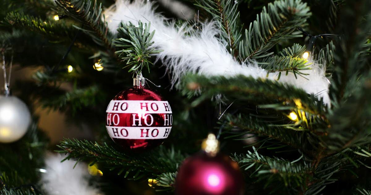 vous avez jusqu’au 25 janvier pour recycler votre sapin de Noël