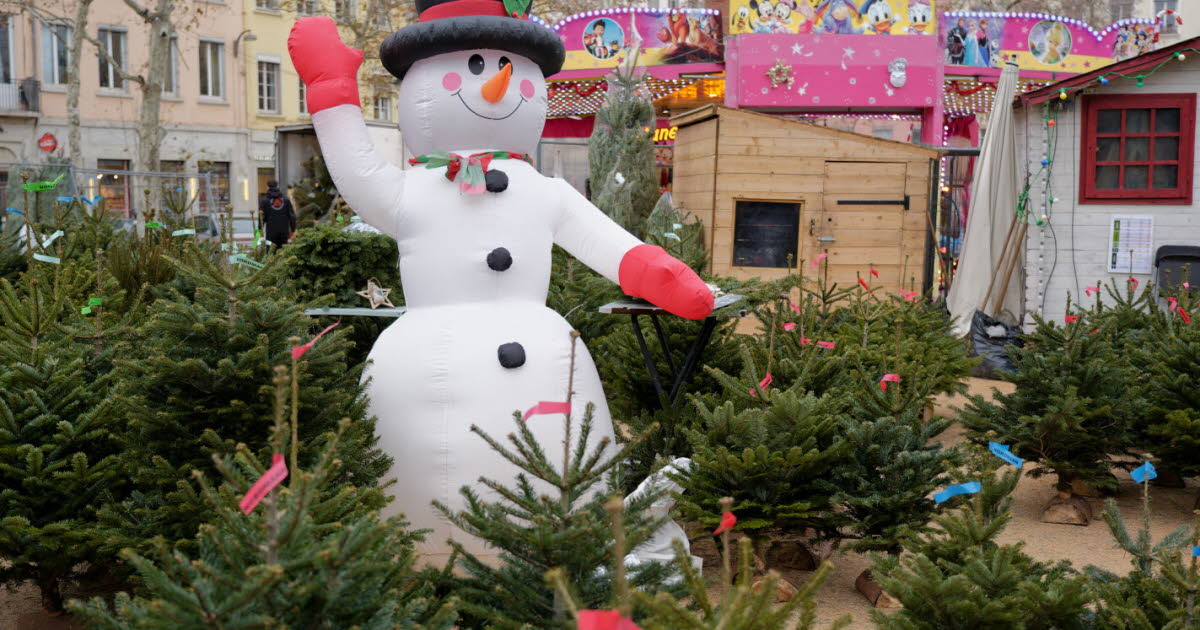 déposez le vôtre dans l’un des points de collecte jusqu’au 17 janvier