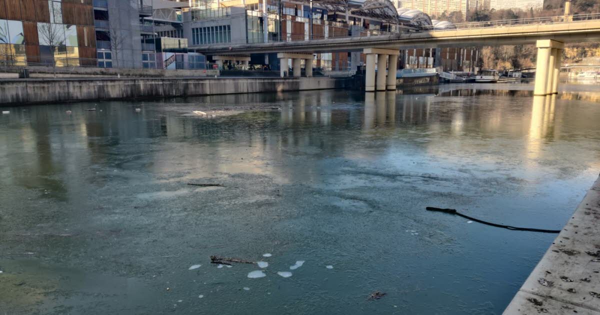 Rhône. Froid polaire, neige, gel... Jusqu'à -10°C et des températures négatives toute la semaine à Lyon