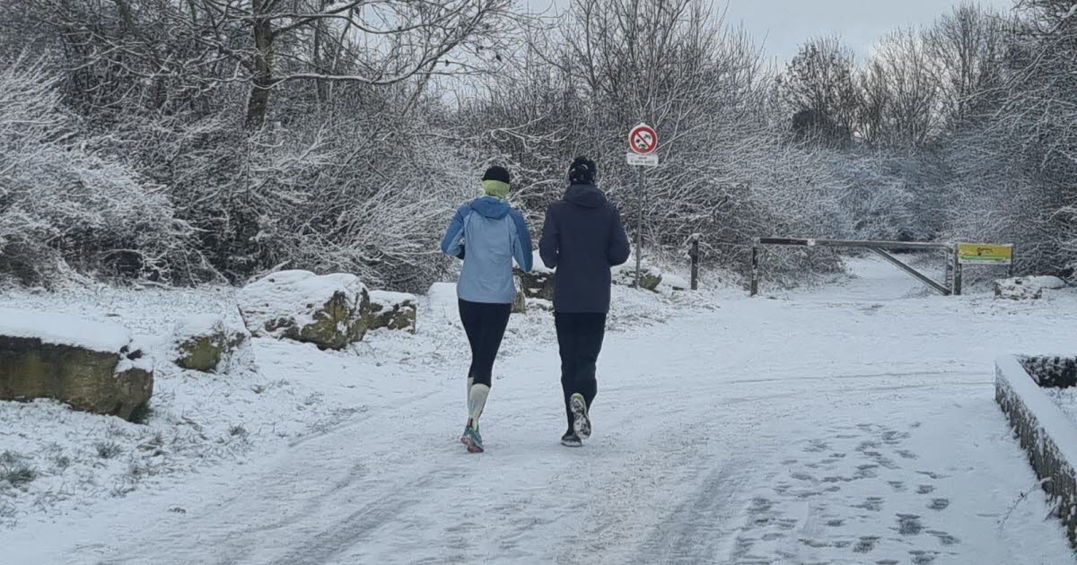 Meurthe-et-Moselle. Le retour de la neige fait des heureux