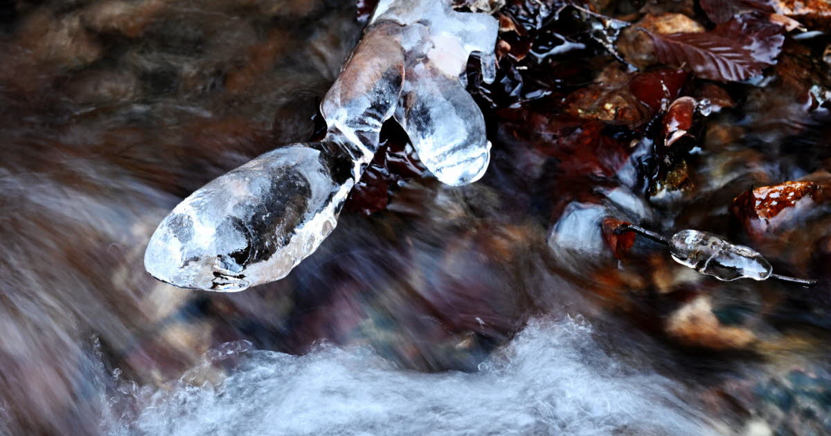 En images. L'Ain enneigé, un plaidoyer pour la beauté