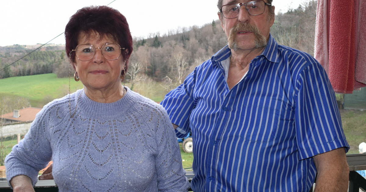 Le Chambon-Feugerolles. Une famille de chats errants s’invite à table chez ces Chambonnaires