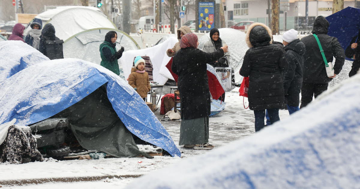 Strasbourg. Au campement sauvage du Krimmeri, sept familles dans le froid et l’indifférence de l’État