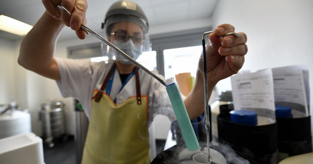 Meurthe-et-Moselle. Nés d’une PMA, ils cherchent leurs origines génétiques jusque dans les archives, un véritable «jeu de piste»