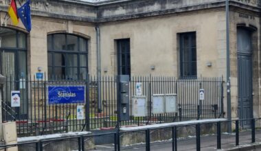Nancy. Visés par un arrêté, les chats repérés dans la cour de l’école maternelle Stanislas seront capturés